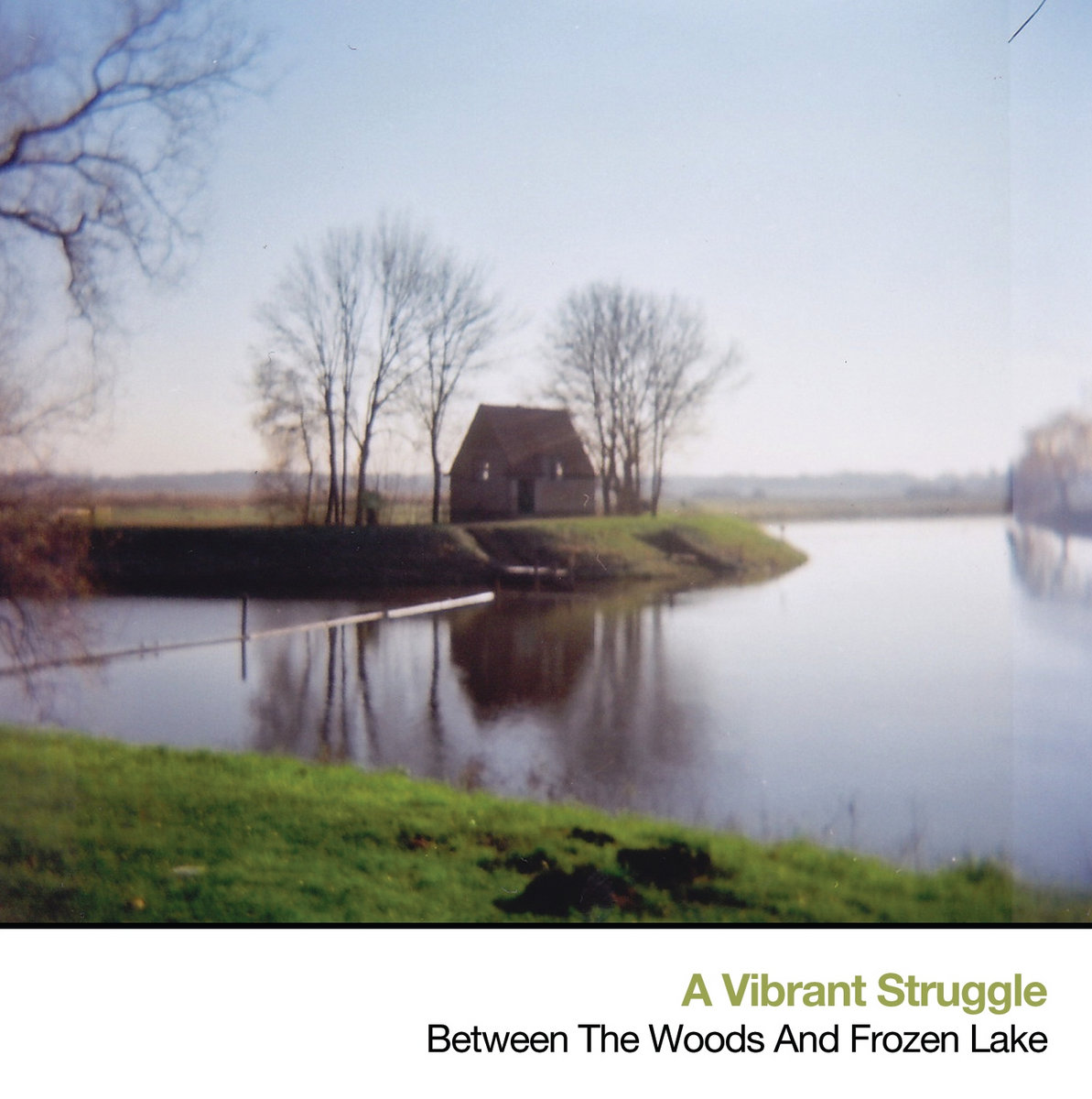 Between The Woods And Frozen Lake A Vibrant Struggle Moving Furniture Records