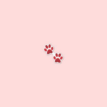PALETTE — Cranberry