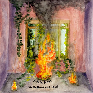 little fires cover