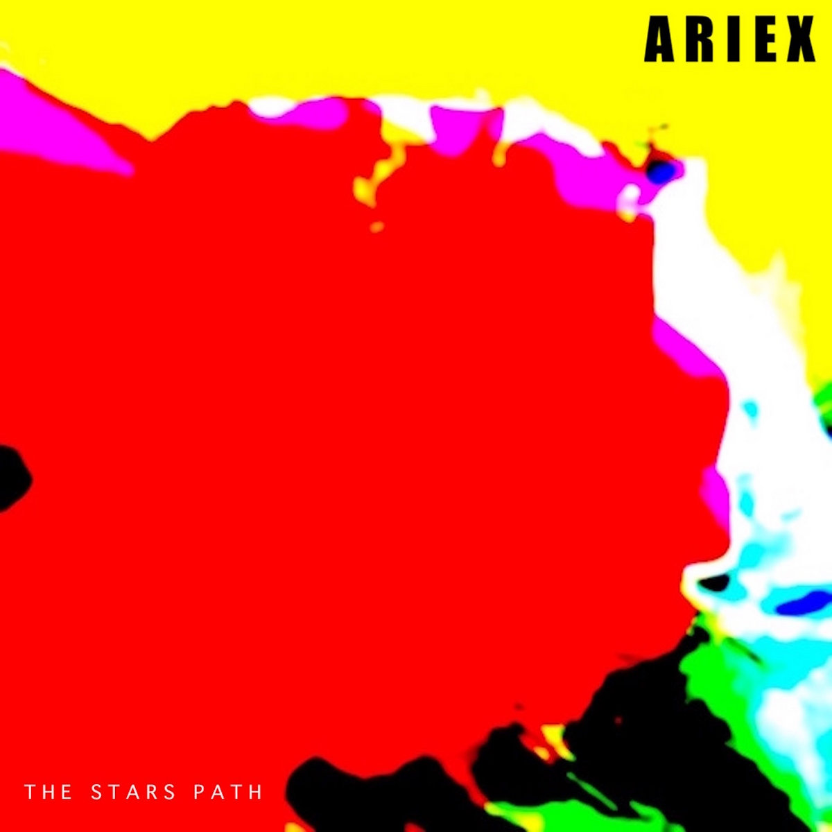 THE STARS PATH [2018] cover