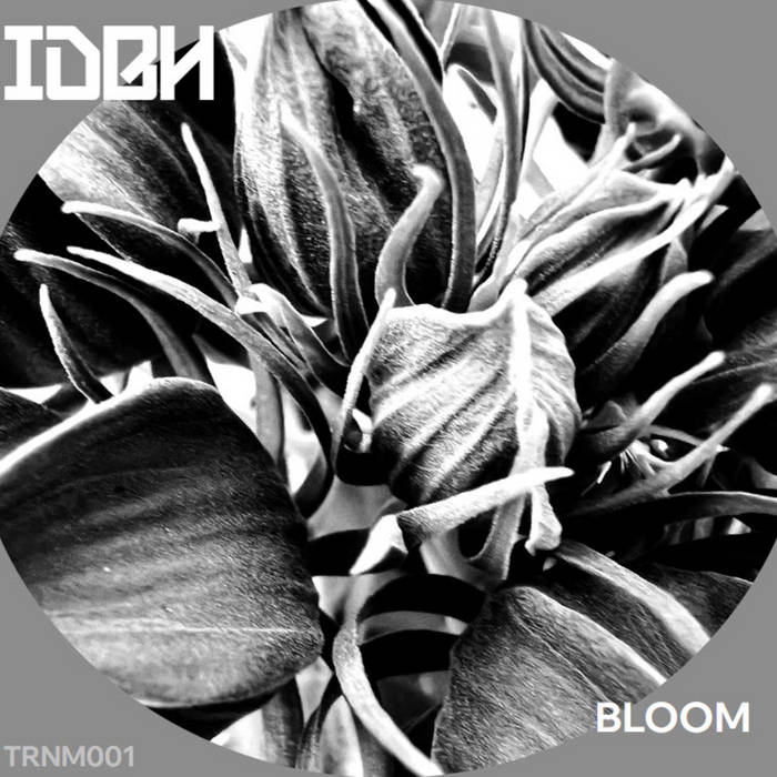 IDBH - BLOOM EP [TRNM001] | IDBH | TRNM Records