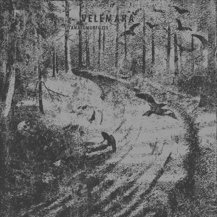 Hvis Lyset Tar Oss (Burzum cover) | Velemara