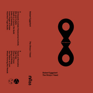 Robert Eggplant — Strays I Feed