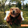 Autumn News (LP 2009) Cover Art