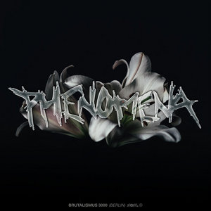 Brutalismus 3000 — Phenomena