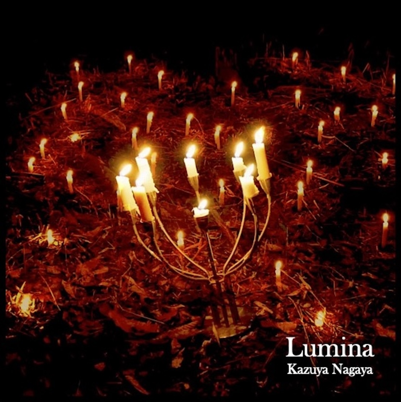 Kazuya Nagaya（長屋和哉） — Lumina