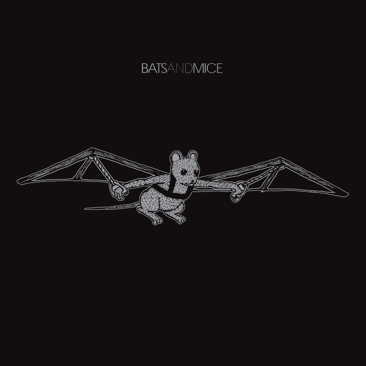 Back In Bat | Bats & Mice