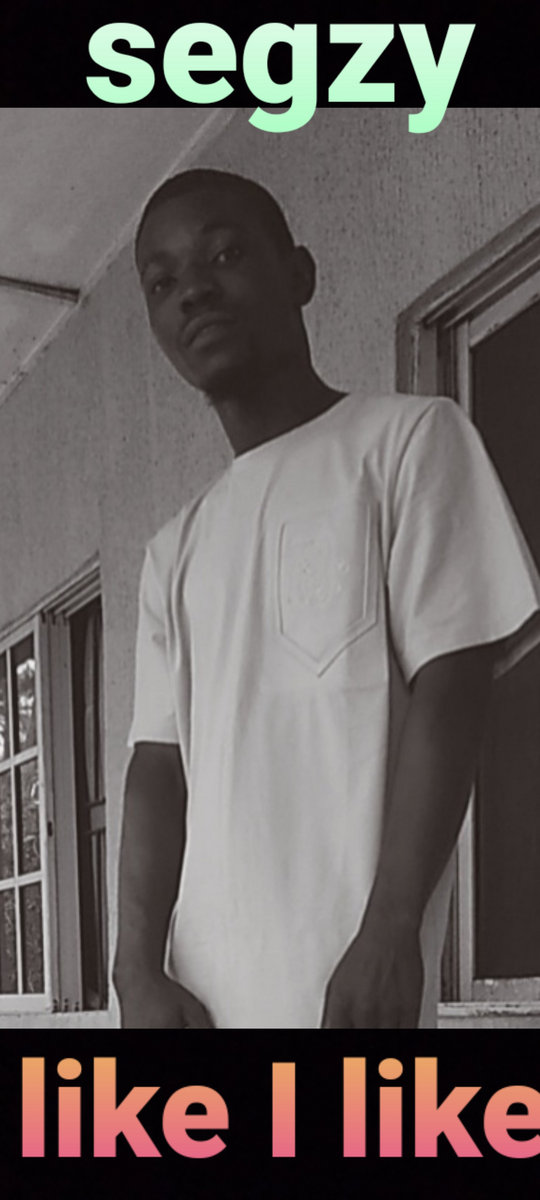 Segzy Like I like | segzy