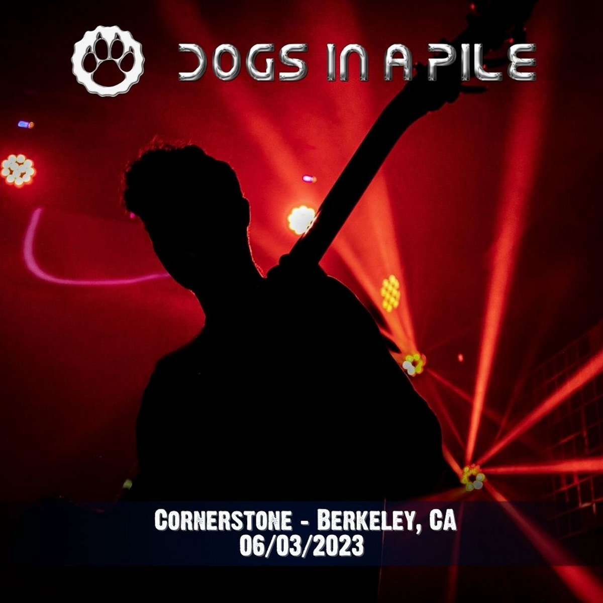 06-03-23-cornerstone-berkeley-ca-dogs-in-a-pile