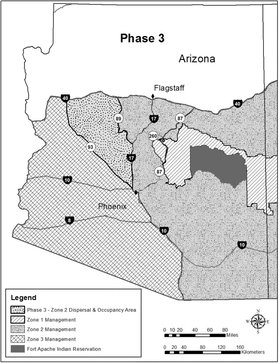 Urban Species Blanket (1998) Lawrwaina ticentrabo