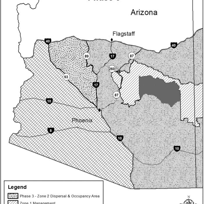 Urban Species Blanket (1998) Lawrwaina ticentrabo