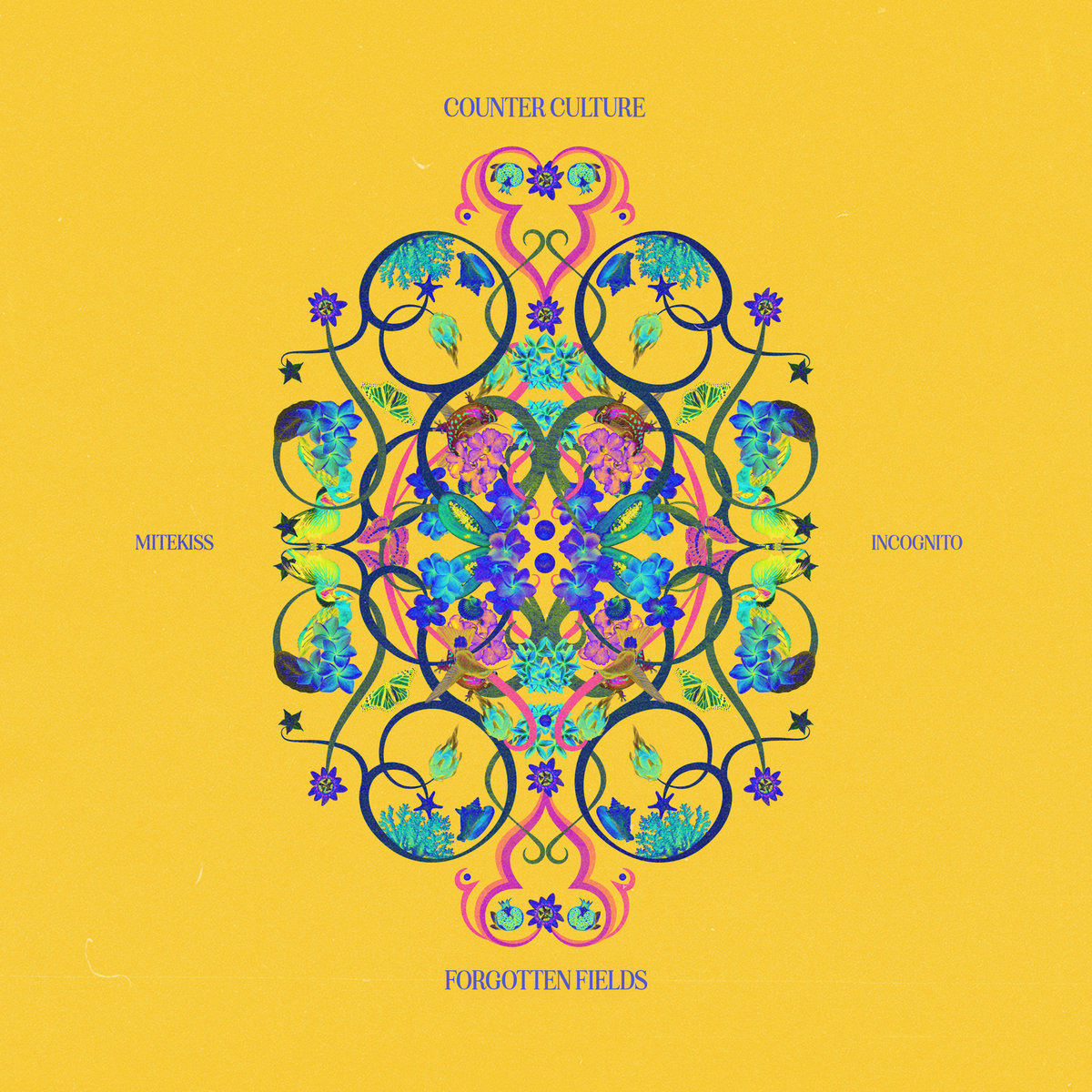 INCOGNITO | Mitekiss