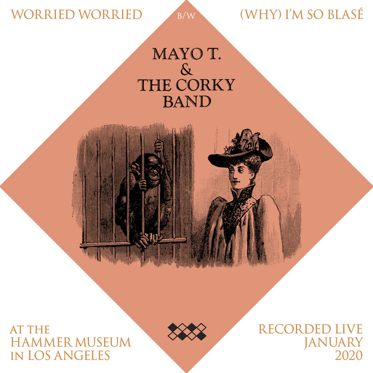 Worried Worried | Mayo T. & The Corky Band | Mayo Thompson