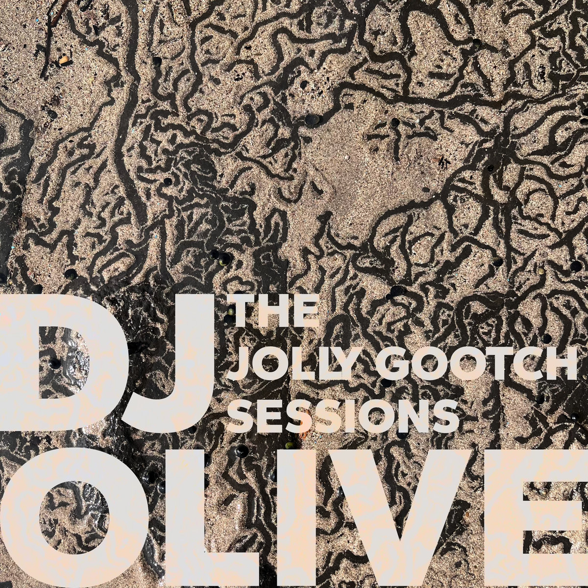 The Jolly Gootch Sessions | DJ Olive | RECORD BLANKS