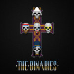 The Binaries