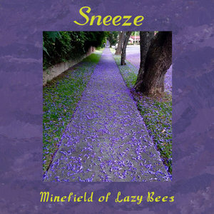 Minefield of Lazy Bees EP cover