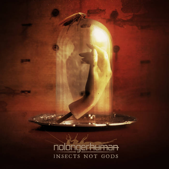 Shattered (Disorder Faith Remix) | nolongerhuman