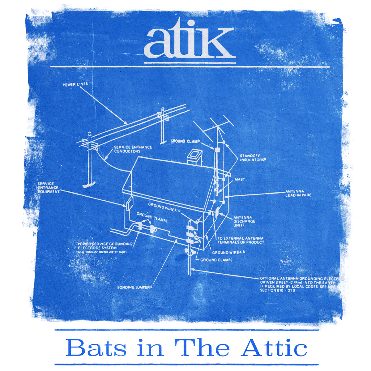Bats in The Attic atik