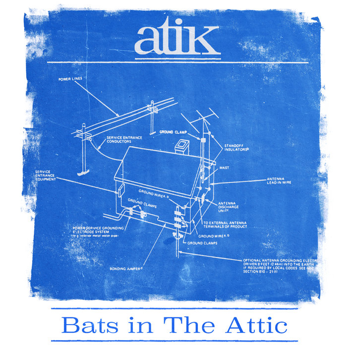 Bats in The Attic atik