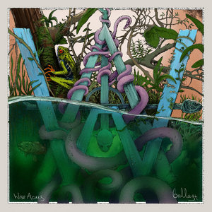 Wiseacres — Ballast