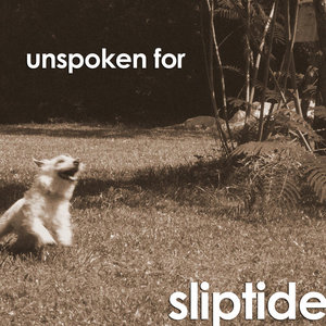 Unspoken For (Album) cover
