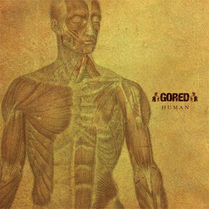 Gored — Human