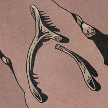 Janus Rasmussen — Bones