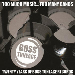 Too Much Music, Too Many Bands: 20 Years Of Boss Tuneage Records cover