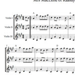 Scottish Fiddle Harmony Sheet Music: Mrs Macleod's Reel