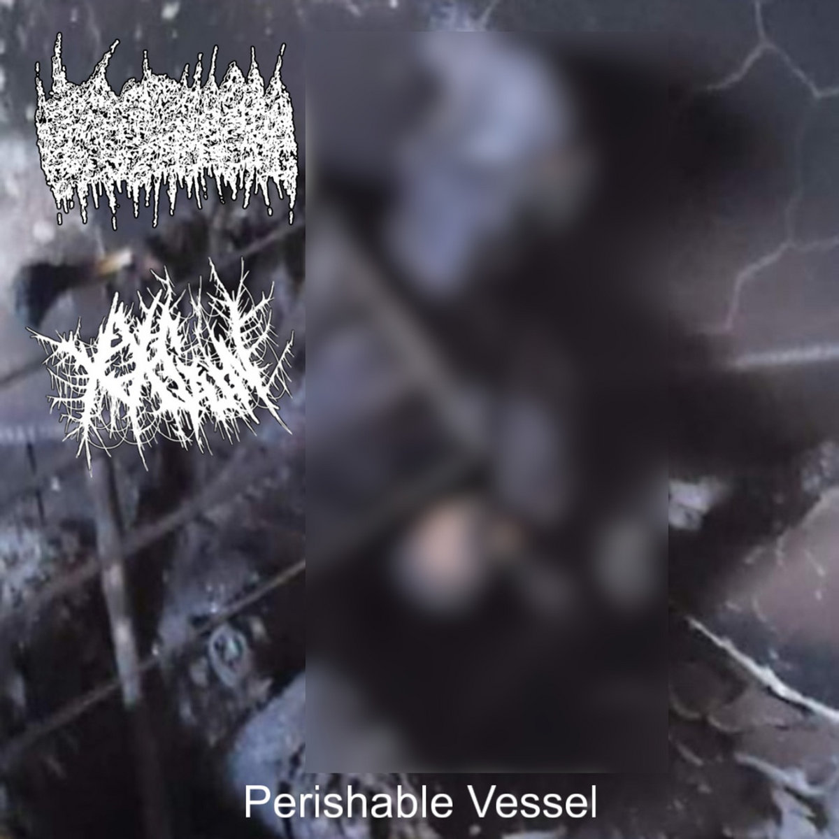 Perishable Vessel cover