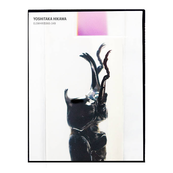 ELSWHR改865-349 | Yoshitaka Hikawa | Nyx Unchained