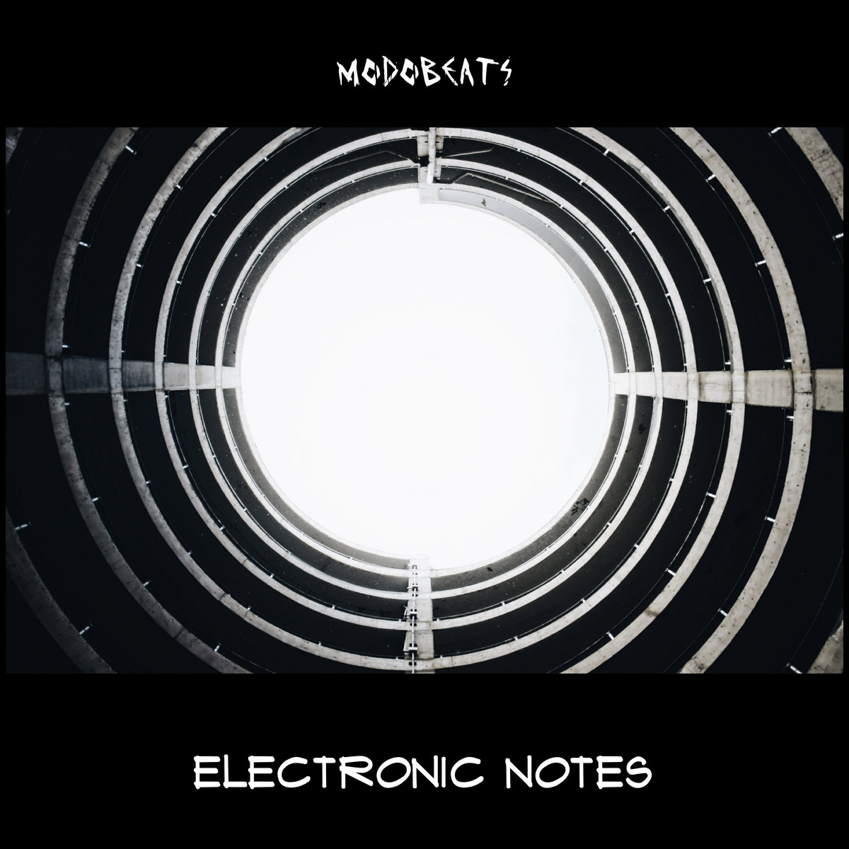Electronic Notes cover