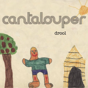 Drool cover