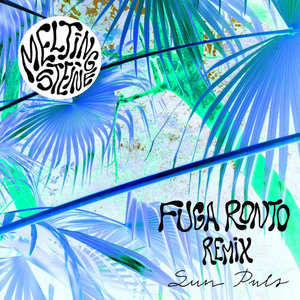 Sun Puls (Fuga Ronto Remix)Melting Steine cover
