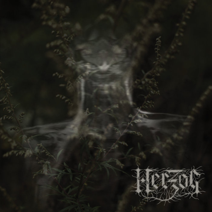 Pochette de Mugwort par Herzog