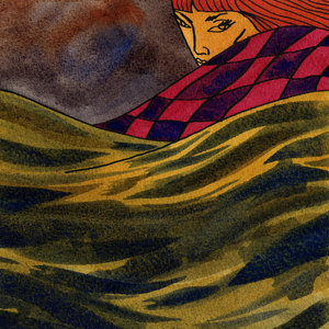 Drown cover