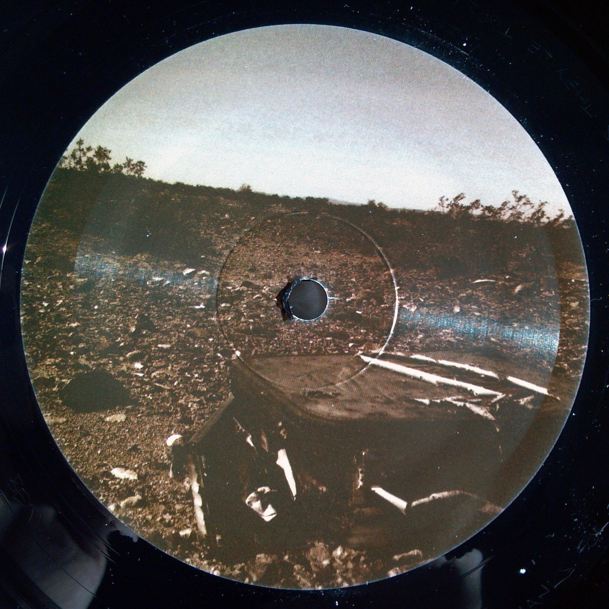 PCMSV011] LXC - LFAnt | Pinecone Moonshine