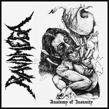 Cover of Anatomy of Insanity