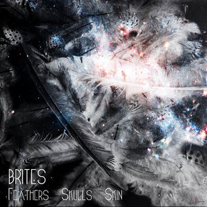 Feathers Skulls Skin cover
