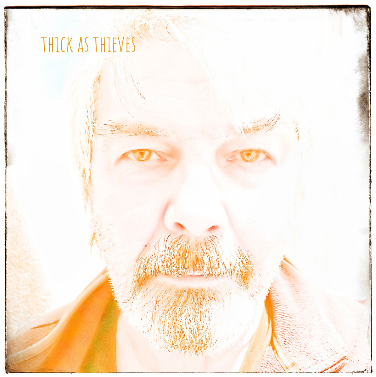 Thick as Thieves cover