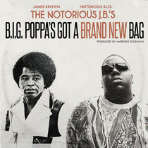 The Notorious J.B.'s - B.I.G. Poppa's Got A Brand New Bag (Single) cover art