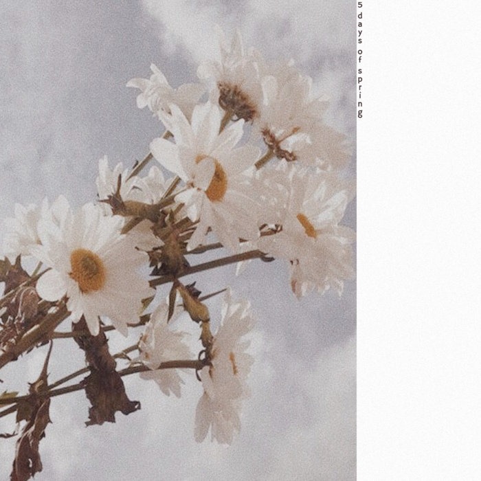 5 days of spring | oliviaway