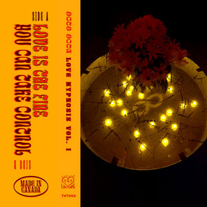 Love Hypnosis Vol. 1 cover