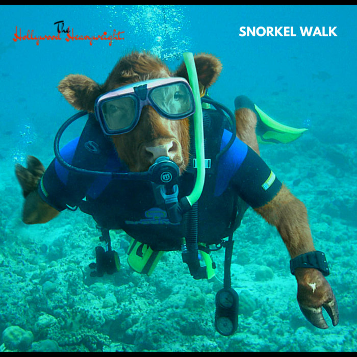 Snorkel Walk The Hollywood Heavyweight