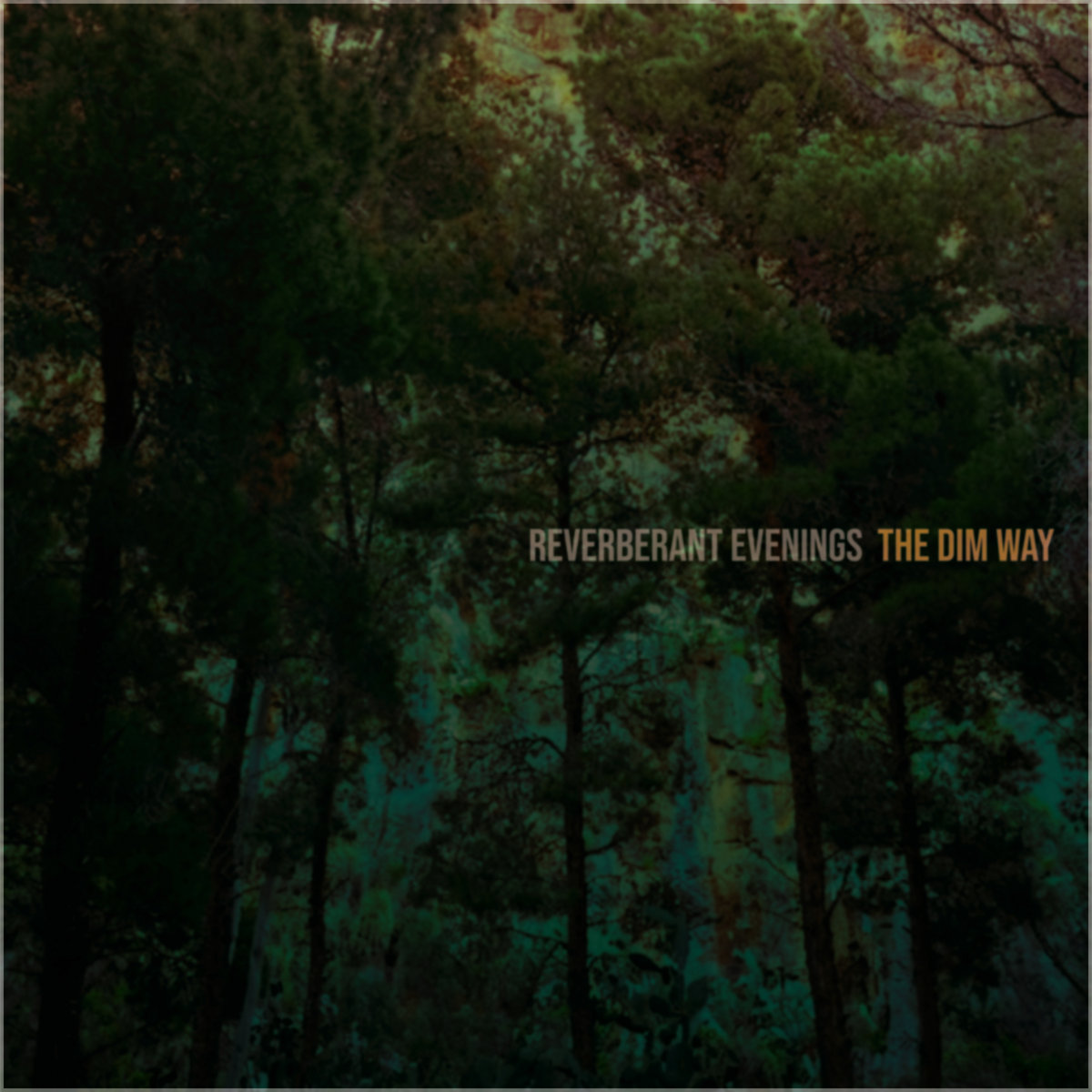 Dim Way The Dim Way | Reverberant Evenings