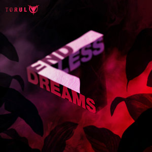 End Less DreamsTORUL cover