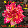 Gigi D'Agostino - The Riddle (E. Persueder & Vj. Silver Edit Bootleg Regroove)