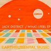 What I feel EP
