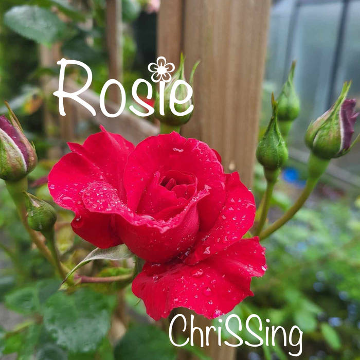 Rosie, by ChriSSing