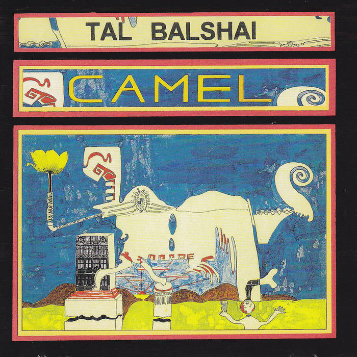 Tal Balshai Camel